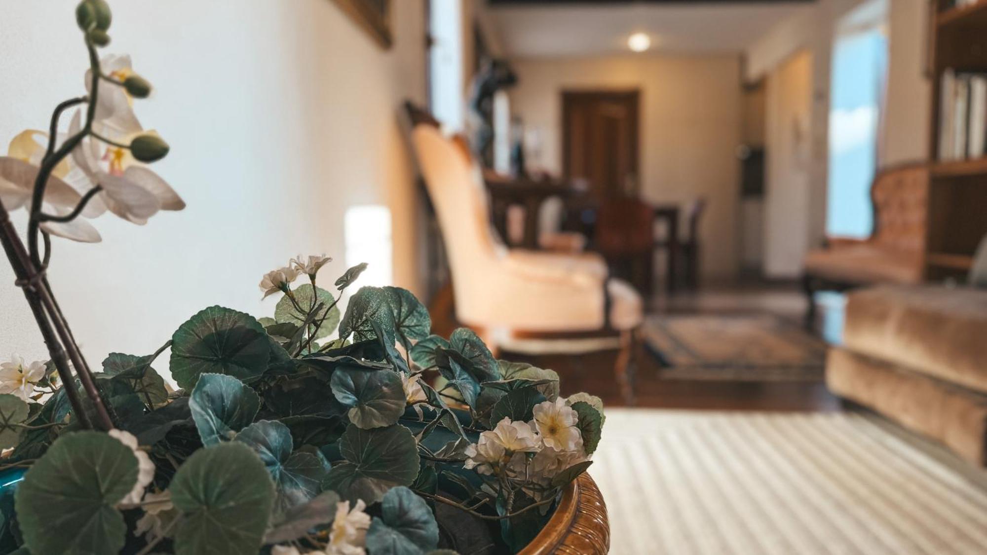 Attic Terrace San Mark Square View Venice Ngoại thất bức ảnh